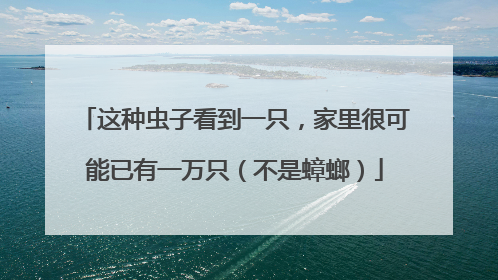 这种虫子看到一只，家里很可能已有一万只（不是蟑螂）